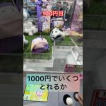 【クレーンゲーム🩵1000円チャレンジ】 #クレーンゲームのコツ #ufoキャッチャー #ufoキャッチャー9 #クレーンゲーム#1000円チャレンジ