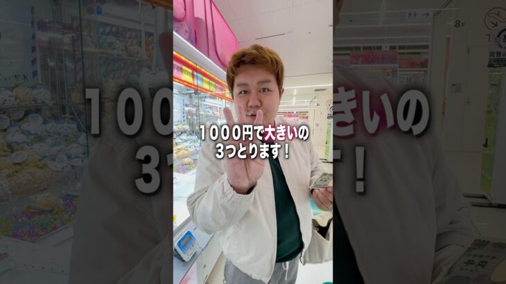 1000円で大きい景品を３つ取ろうとしたら初めてぬいぐるみ取れたw#ゲームセンター #ゲームセンター #ufoキャッチャー