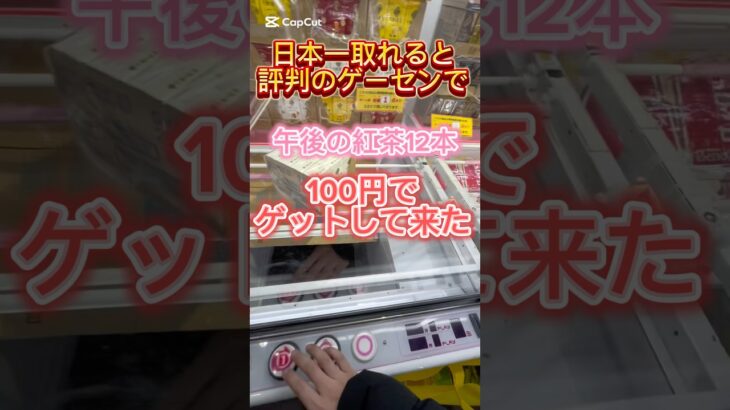 日本一取れると評判のゲーセンで午後の紅茶12本100円でゲットして来た！#ufoキャッチャー動画 #ufoキャッチャー #クレーンゲーム攻略 #ゲーセン #ベネクス浦和店 #クレゲ #午後の紅茶