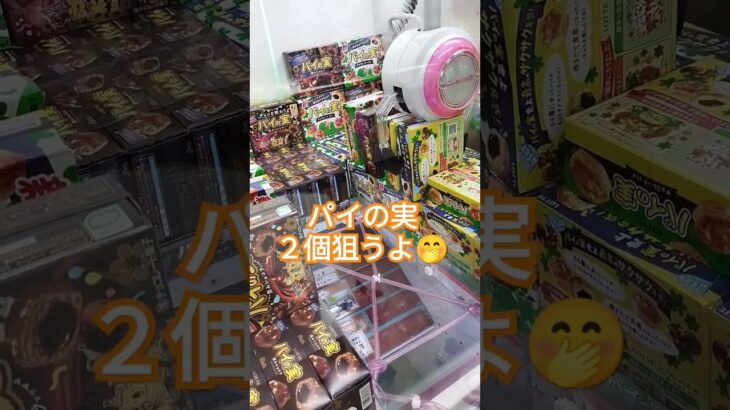 2個狙っていく〜🥰#クレーンゲーム攻略 #クレーンゲーム景品 #ufoキャッチャー動画 #ゲーセン #パイの実