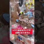 【クレーンゲーム】大物ゲットしたい人必見！今更ながら2本爪キャッチは信憑性高かった件！ #ufoキャッチャー #ゲーセン #裏ワザ#shorts