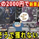 【クレーンゲーム】たったの2000円でフィギュア攻略に挑んでみた結果。【万代書店川越店 橋渡し攻略】ドラゴンボール ワンピース