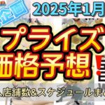 【クレーンゲーム】プライズフィギュア価格予想&導入店舗数&導入日まとめ！！2025年1月3週【UFOキャッチャー／】【クレゲvlog】