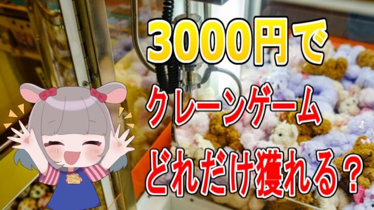 ぺこらじ第3話 3000円でクレーンゲームどれだけ景品ゲットできるかチャレンジしてみた