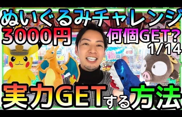 予算3000円で何個GET!?確率に頼らず実力GETする方法!!ROUND1ぬいぐるみチャレンジ！