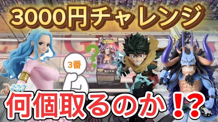 【ベネクス川越】クレーンゲームで3000円チャレンジ！今回の結果は…？ビビ・デク・カイドウを攻略！【日本一取れる店／フィギュア／クレーンゲーム／ワンピース／僕のヒーローアカデミア／UFOキャッチャー】