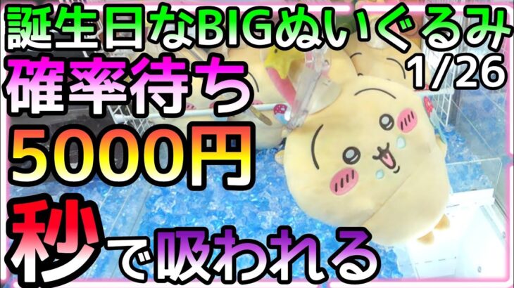 前日余裕で攻略したうさぎを他店でチャレンジしたら激ムズ設定に秒で5000円吸われるが、最後に、、、