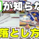 【クレーンゲーム】8割が知らずに損している落とし方【UFOキャッチャーお菓子】