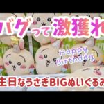 バグって激獲れ！誕生日なうさぎBIGぬいぐるみに挑戦してきたッ！うさぎさん、お誕生日おめでとう👏