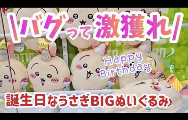 バグって激獲れ！誕生日なうさぎBIGぬいぐるみに挑戦してきたッ！うさぎさん、お誕生日おめでとう👏