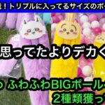 ちいかわ ふわふわBIGボールペンが思ってたよりデカかった！2店舗比較で2種類獲ってきた！【ちいかわ】【クレーンゲーム】【인형뽑기】【日本夾娃娃】【JapaneseClawMachine】