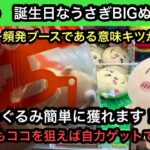 誕生日なうさぎBIGぬいぐるみを自力ゲットする方法はこれ！初心者でも簡単にできる獲り方教えちゃいます！【ちいかわ】【クレーンゲーム】【JapaneseClawMachine】【인형뽑기】【日本夾娃娃】