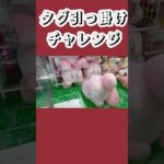 タグ引っかけチャレンジ！カービィ救出なるか！？【Crane Family】 #ミニクレーンゲーム