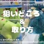 【取り方】チコリータ＆再販ゴンベGET！！　#ポケットモンスター #ポケモン #pokemon #ぬいぐるみ #クレーンゲーム