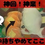 【攻略３選】最新アチゲータGET！！　#ポケットモンスター #ポケモン #pokemon #ぬいぐるみ #クレーンゲーム