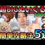 簡単にGETし過ぎじゃね!?3000円あれば超超BIGぬいぐるみも大人気ぬいぐるみも山盛りGET!!攻略法5選