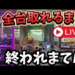 【お金無限】クレーンゲーム全台取るまで終われまてん！自宅ゲーセン編 #クレーンゲーム #UFOキャッチャー #自宅ゲーセン