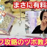 UFOキャッチャー 有料級！フック攻略のツボ教えます！【パンダ先生夫婦のクレーンゲーム】