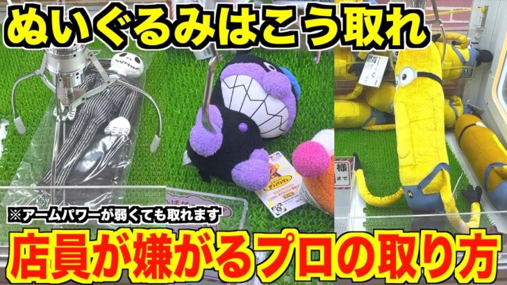 【知らないと散財確定】明日から使えるぬいぐるみ攻略！！【クレーンゲーム・UFOキャッチャー】