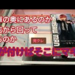 新年　ベネクス川越　クレーンゲーム　チェンソーマン　マキマ　完全クレゲ宣言　UFOキャッチャー　プライズ　フィギュア　買取　チャンネル登録よろしくお願いします