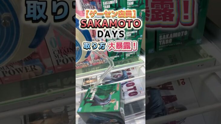 【UFOキャッチャー】SAKAMOTO DAYSの取り方大暴露！【山梨 クレーンゲーム 倉庫系】