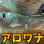 超危険ｗまさかのアロワナ、チョウザメが景品のUFOキャッチャーww【クレーンゲーム／熱帯魚】