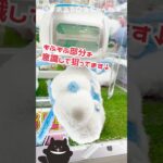 【Vlog】クレーンゲーム☆ポケモンチルット攻略方法⁉ #shorts #クレーンゲーム #ufoキャッチャー #攻略 #Pokémon #ぬいぐるみ #ポケモン