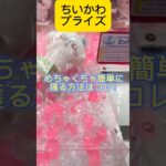 ちいかわプライズ！２手で獲る方法はコレ！#shorts #ちいかわ #クレーンゲーム