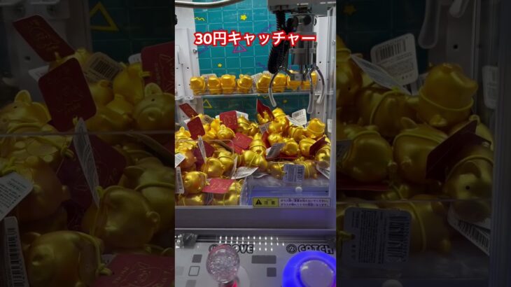 幸福を呼ぶ 金のブタ #shorts #クレーンゲーム #ゲームセンター #ミニクレーンゲーム #ガチャガチャ #クレーンゲーム攻略 #クレゲ #ゲーセン #ufoキャッチャー #ブタ #豚 #金