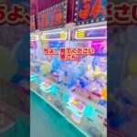 台湾キャッチャーが大量にあったから大量ゲットしてきた#クレーンゲーム #クレーンゲーム攻略 #確率無視 #ゲーセン #ufoキャッチャー #出禁 #台湾クレーンゲーム #ちいかわ