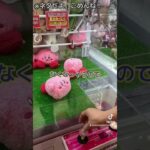 教えてもらった裏技がヤバすぎる#ufoキャッチャー #クレーンゲーム #ゲーセン #ネタ動画