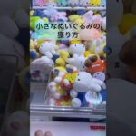 【クレーンゲーム🩵ミッフィー】 #クレーンゲームのコツ #ゲームセンター #ufoキャッチャー動画 #ufoキャッチャー #ミッフィー