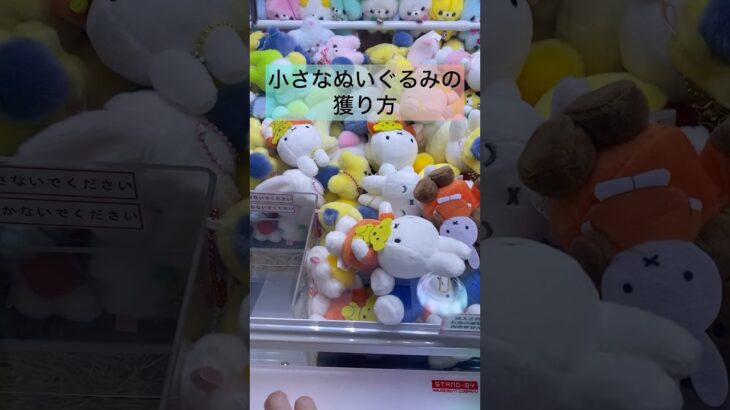 【クレーンゲーム🩵ミッフィー】 #クレーンゲームのコツ #ゲームセンター #ufoキャッチャー動画 #ufoキャッチャー #ミッフィー