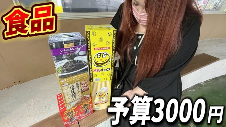 【クレーンゲーム】ココが本当に日本一獲れるゲーセンだ！隠れ名店へ急げ！【キャロム坂戸店】