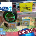 【クレーンゲーム】  どう攻略する？？✨人気新プライズ続々登場中✨