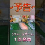 ～予告～ クレーンゲームの やや中心で タイを救う