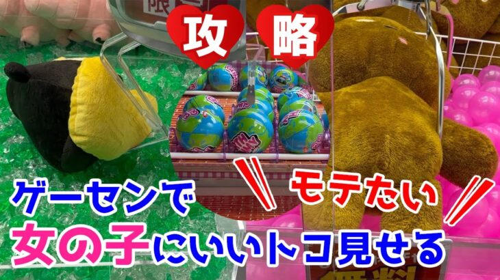 【クレーンゲームでギャルにモテる方法】ぬいぐるみとお菓子迷路の確率機を攻略