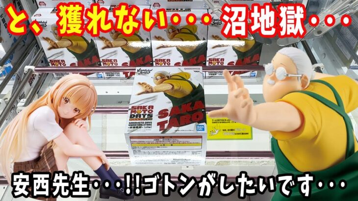 【クレーンゲーム 攻略】大注目サカモトデイズのフィギュアに挑んだらとんでもなく沼り散らかしました・・・【万代書店川越店】