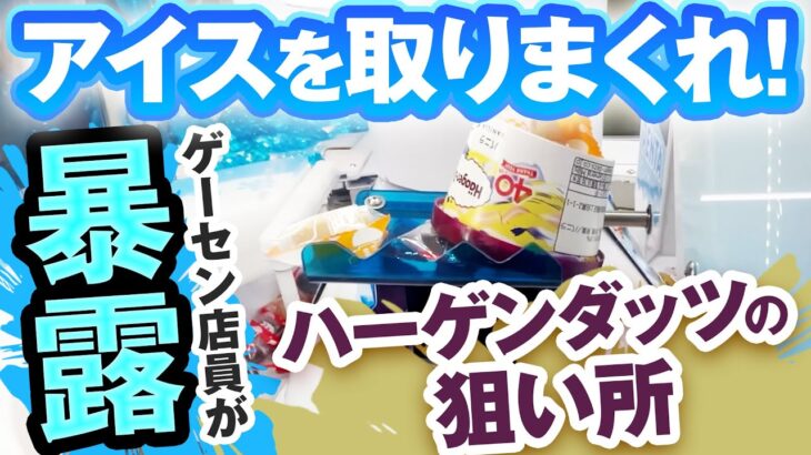 【取れすぎ注意！？】アイス取り放題？ヒエヒエペン太でハーゲンダッツが何個取れるか大検証！！【山梨 クレーンゲーム 倉庫系】