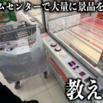 【クレーンゲーム】ゲームセンターで取れずに困っている人たちに代わりに景品を取りました！