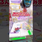 上手くいかないなら家でもクレーンゲーム！#クレーンゲーム #クレーンゲーム攻略 #確率無視 #オンラインクレーンゲーム #ぬいぐるみ #お菓子 #ゲットライブ