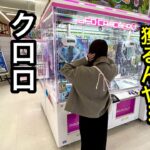 【沼回】クロロどうやって獲るのかわからない！新景品も獲ります！