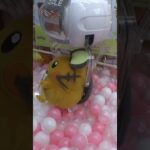 ポケモンのぬいぐるみは実力で取れやすい？＃クレーンゲーム