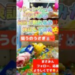 クレーンゲーム【ちいかわ】🐰ྀི何回で取れるかな？