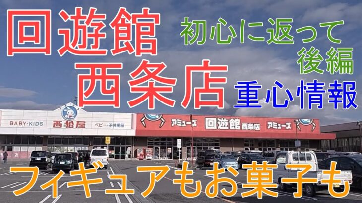 【クレーンゲーム】 回遊館西条店~後編 初心に返って色々獲ります~ 傾向を掴め.重心情報あります