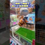 【クレーンゲーム】新年一発目で馬のぬいぐるみを取りすぎたww【年の差夫婦】#shorts