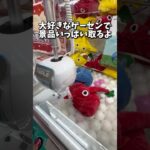 【ゲーセン】ママにもらったお小遣い1000円で景品たくさん取ってきた！