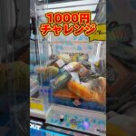 イカチイ台で1000円チャレンジ #shorts #クレーンゲーム #ufoキャッチャー #cranegame