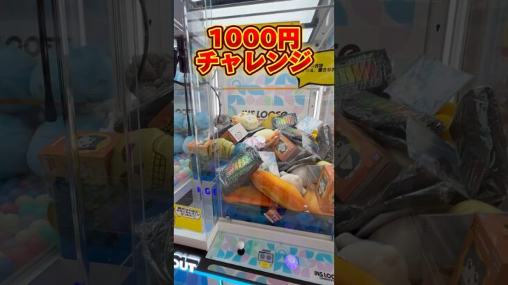 イカチイ台で1000円チャレンジ #shorts #クレーンゲーム #ufoキャッチャー #cranegame