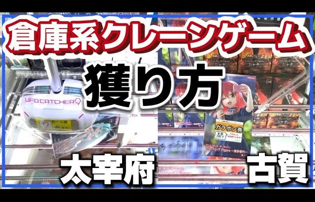 クレーンゲーム講座:倉庫系2店舗行ったら獲れまくり《 #マンガ倉庫古賀店》《 #マンガ倉庫太宰府店》